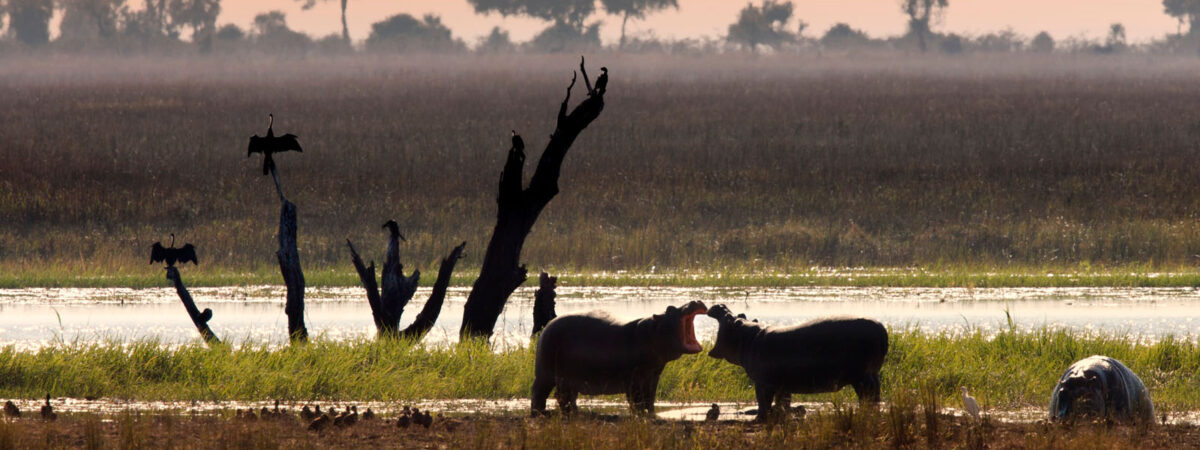 Chobe National Park