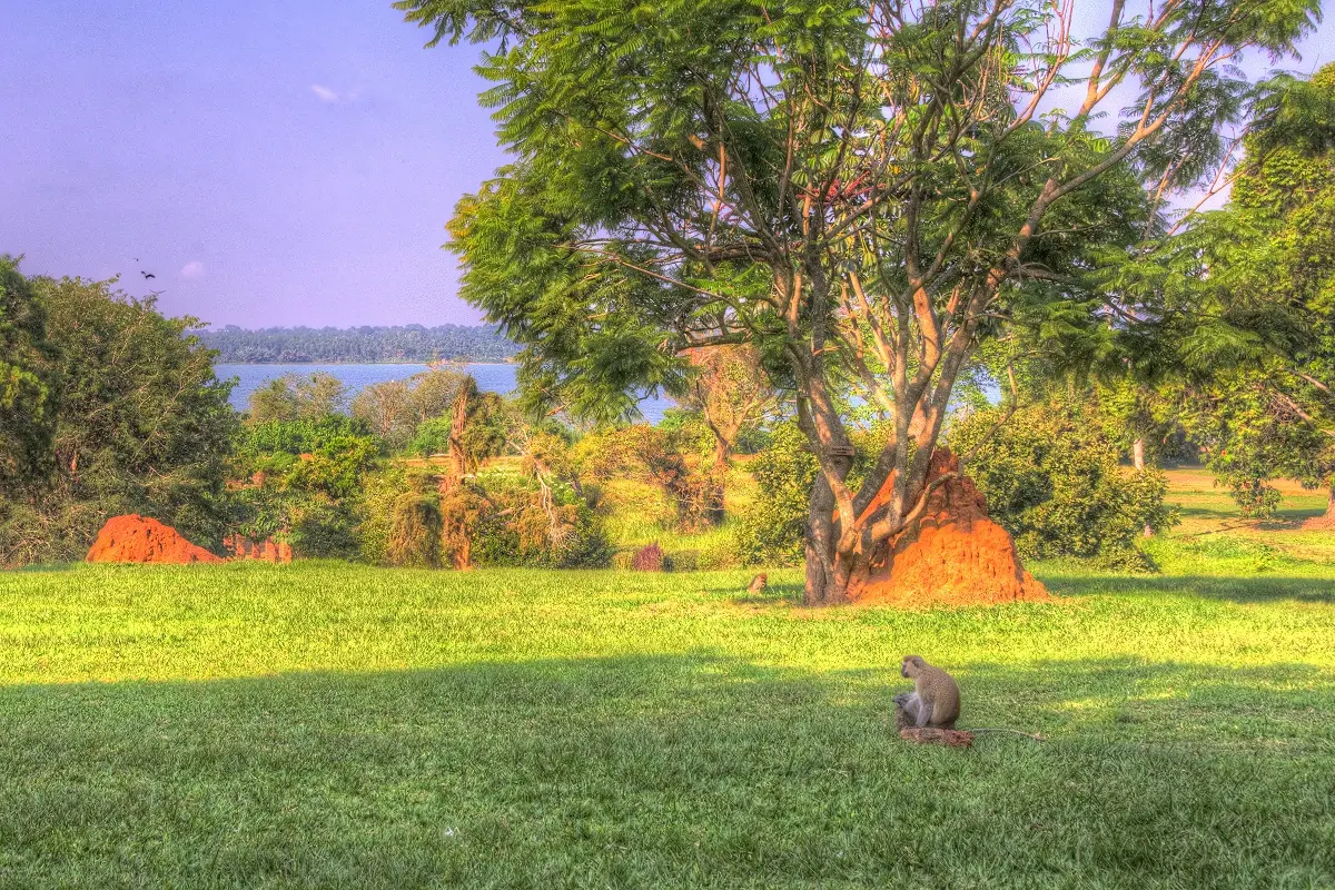 Entebbe Botanical Gardens