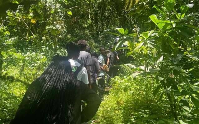Uganda Safari Calendar