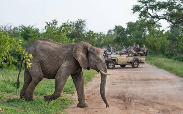 Hoedspruit Airport- Wrap up or extend your Greatest Africa Adventure