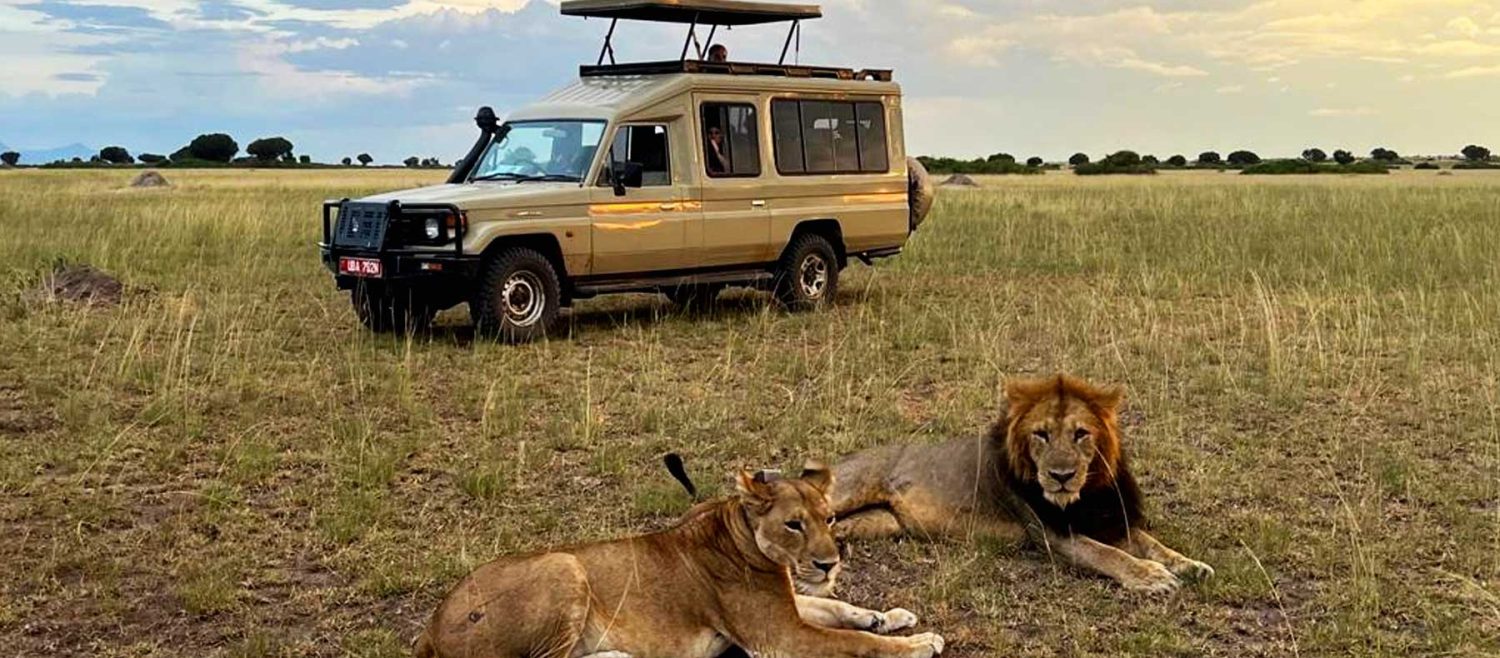 How Much Does a Uganda Safari Cost