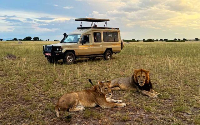 10 Day Best of Uganda Safari