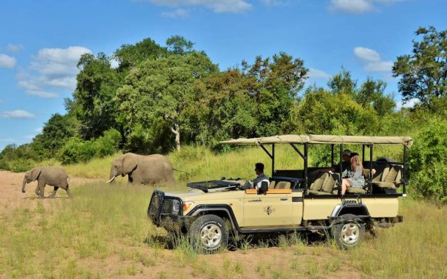 5-Day Imbali Lodge Safari Tour