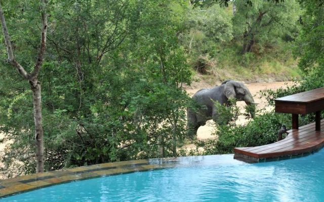 5-Day Imbali Lodge Safari