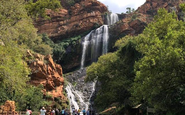 Jonesburg city at the Sisulu Botanic Gardens,