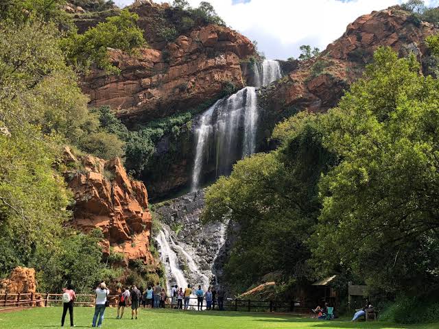 Jonesburg city at the Sisulu Botanic Gardens,