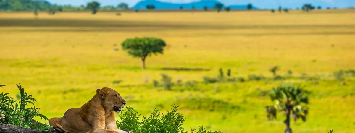 Kidepo Savannah Plains
