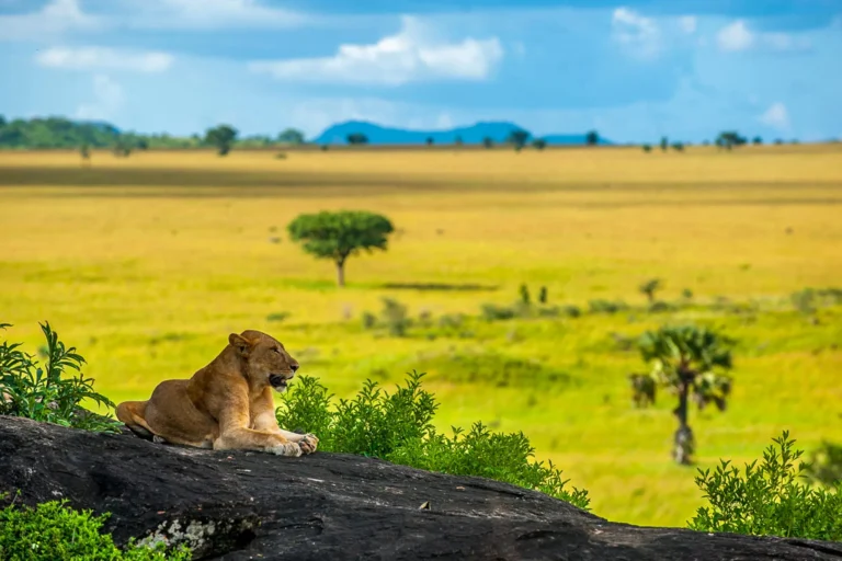 Kidepo Savannah Plains