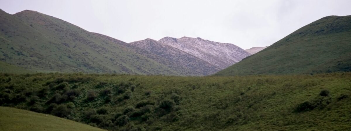 Kigezi Highlands