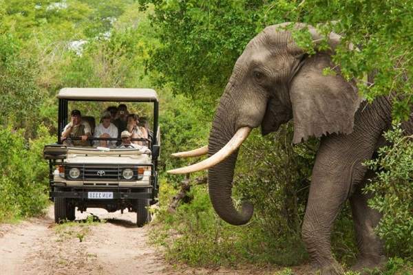 5-Day Luxury Kruger Park and Sabi Sand Safari