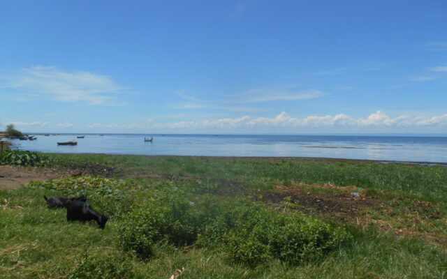Lake Albert Region