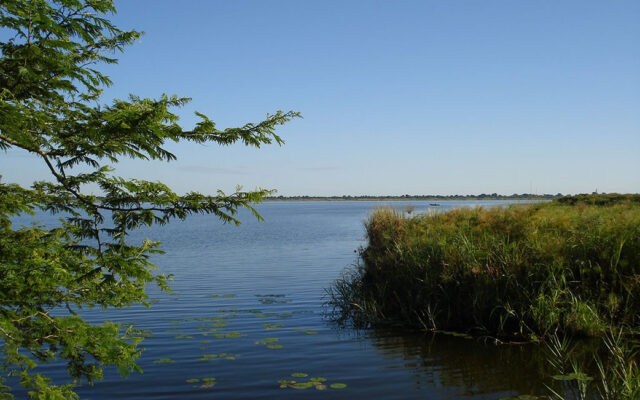 Lake Kyoga
