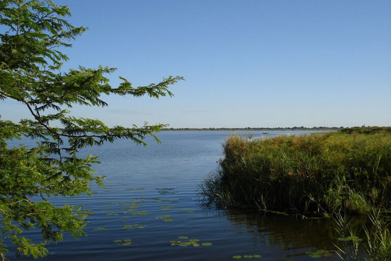 Lake Kyoga