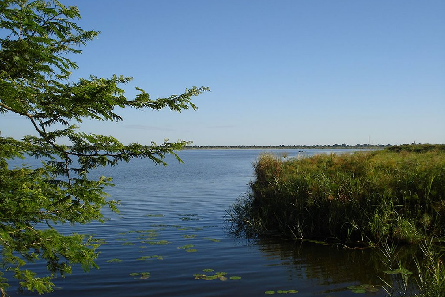 Lake Kyoga