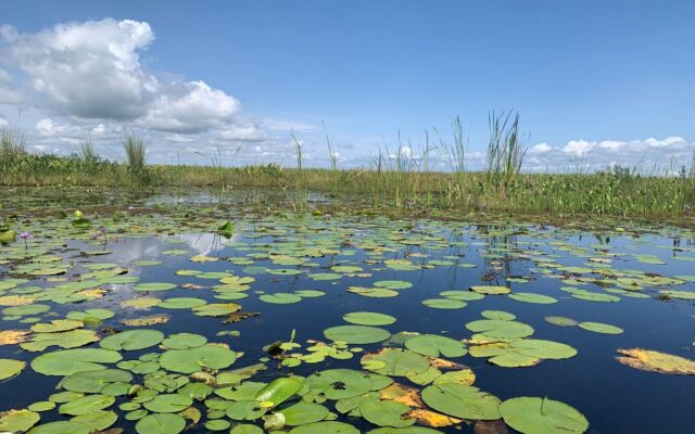 Lake Opeta