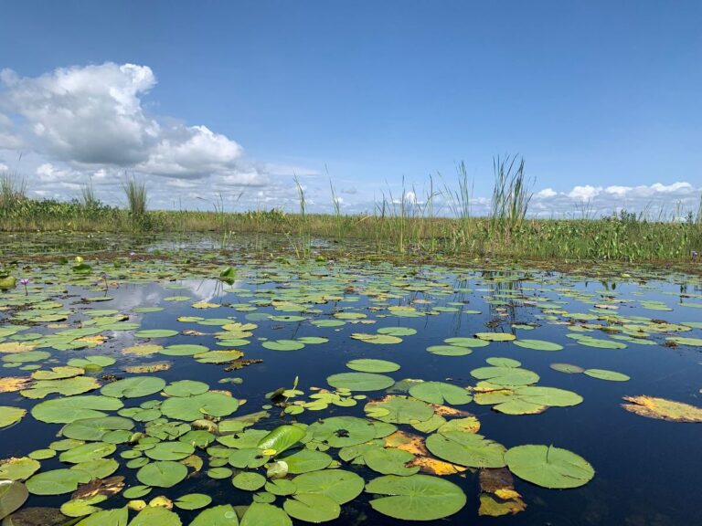 Lake Opeta