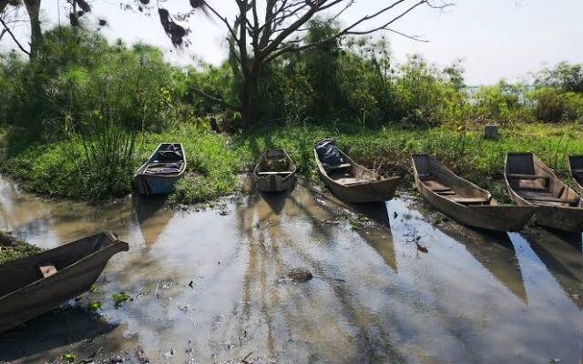 Lake Wamala