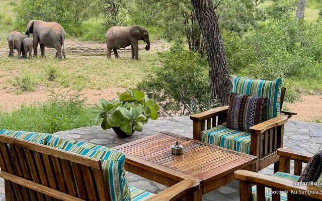 4-Day Luxury Greater Kruger to Canyon Safari Adventure