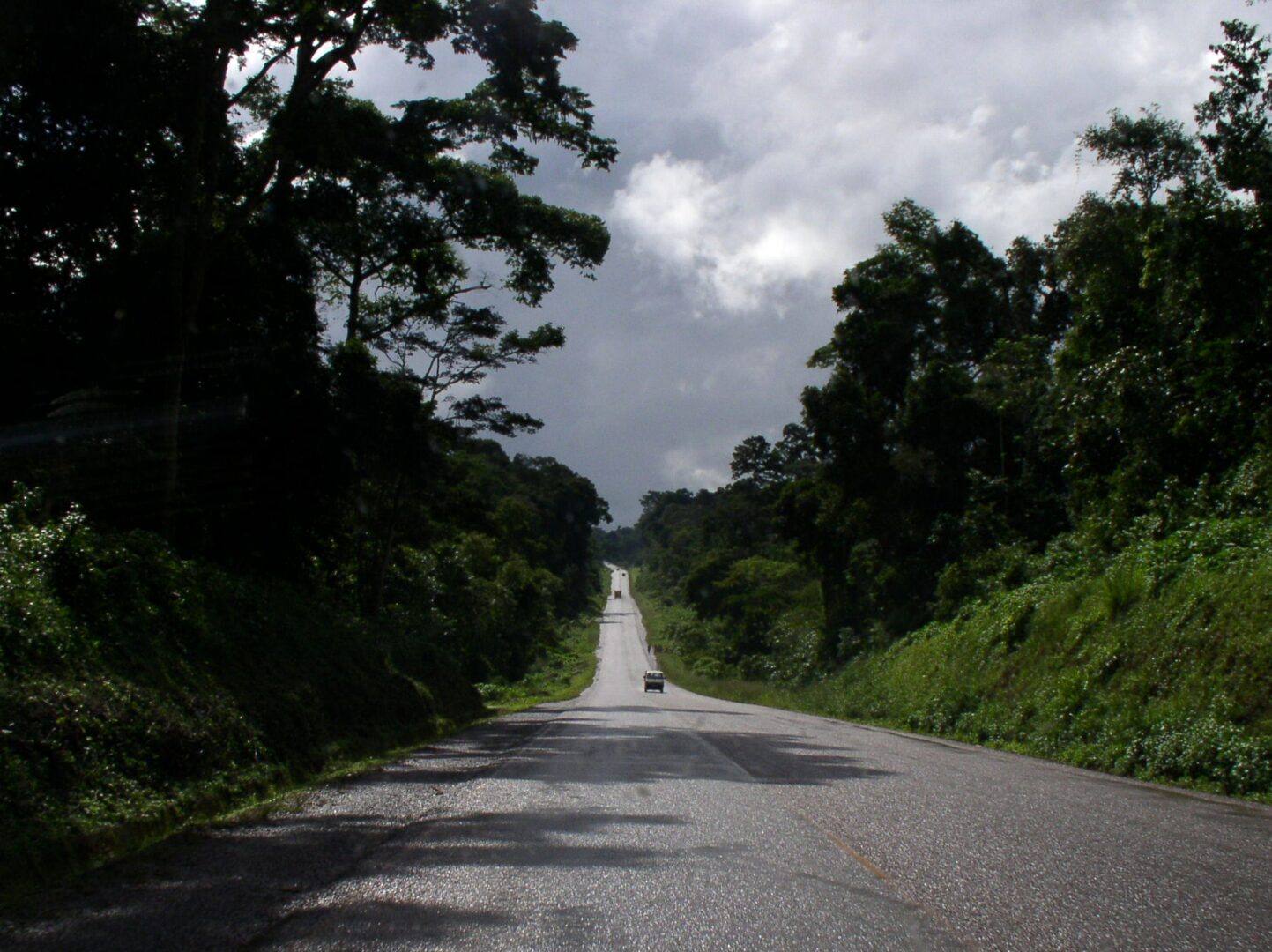 Mabira Forest Reserve