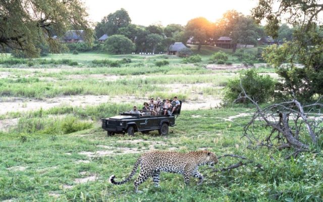 5-Day Malamala Exclusive Fly in Safari