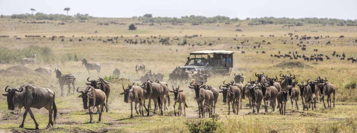 Masai Mara National Reserve