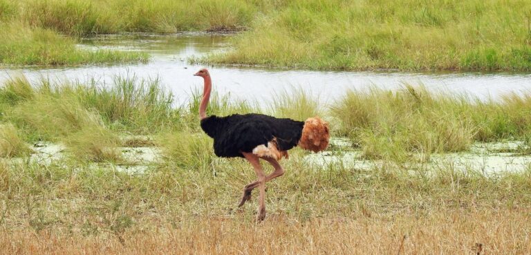 Matheniko Wildlife Reserve