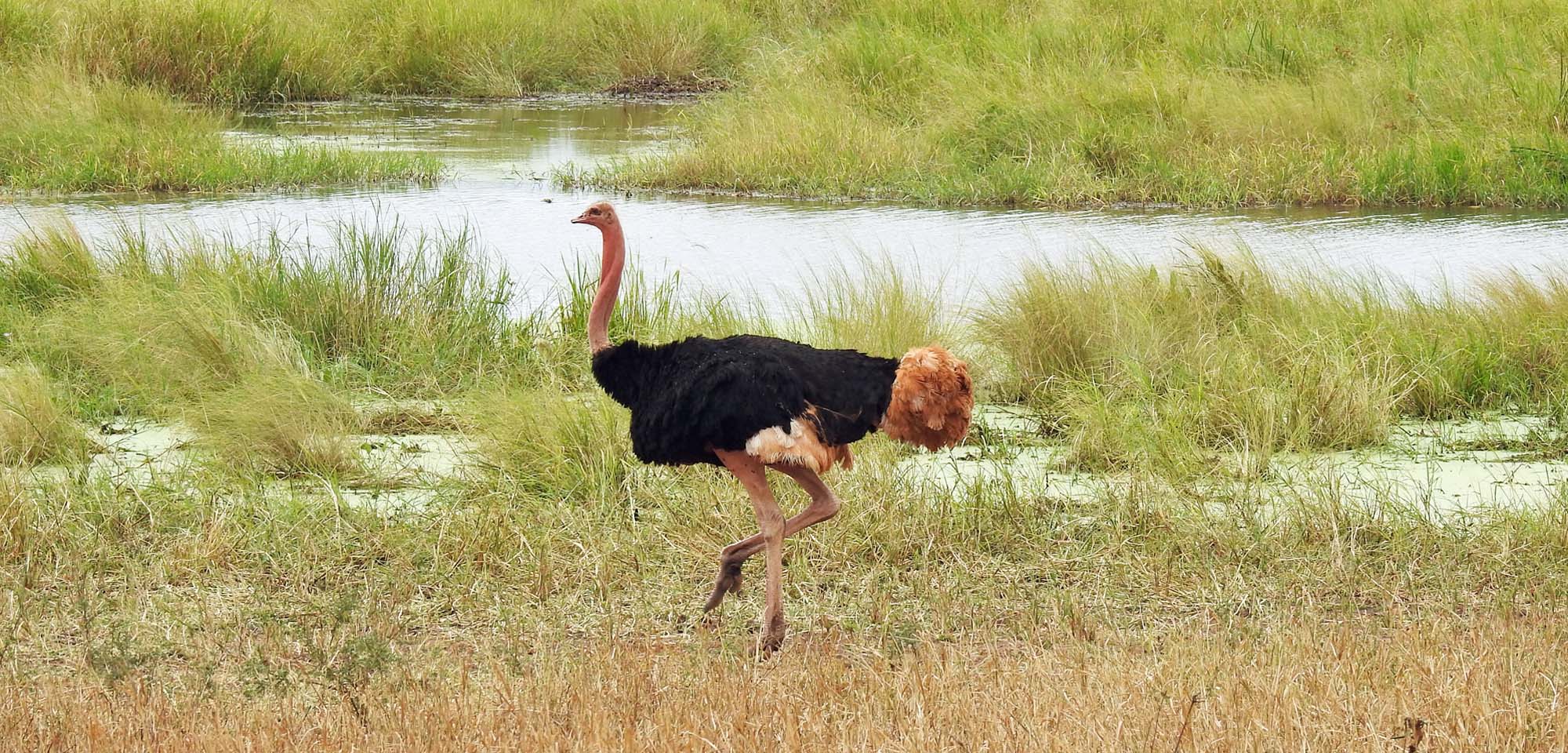 Matheniko Wildlife Reserve