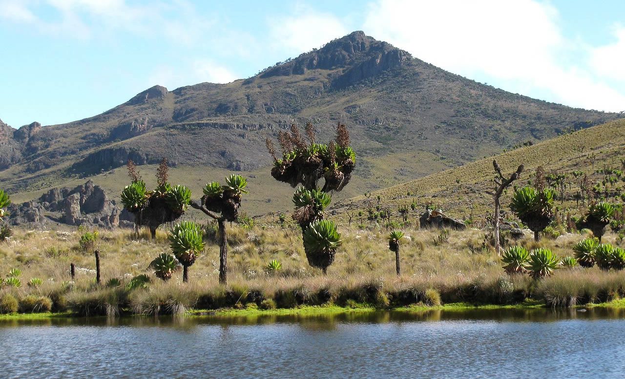Mount Elgon National Park