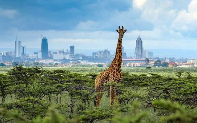 Nairobi