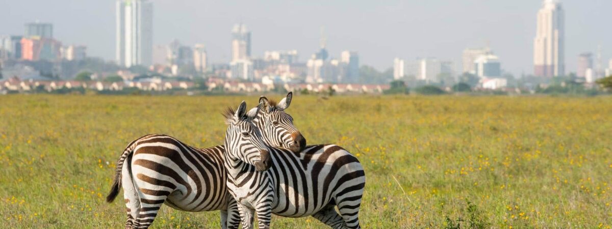Nairobi National Park