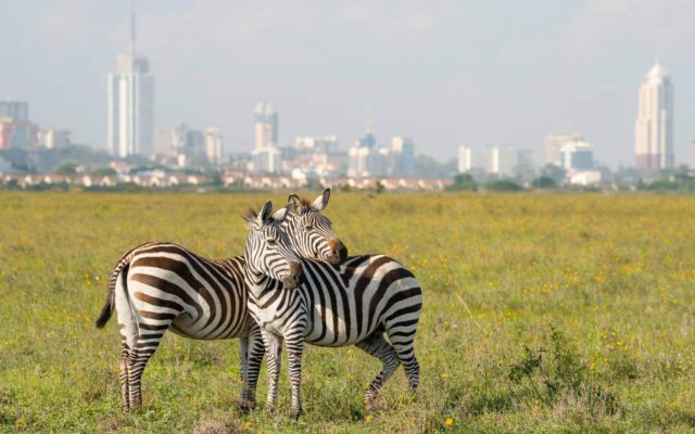 Nairobi National Park