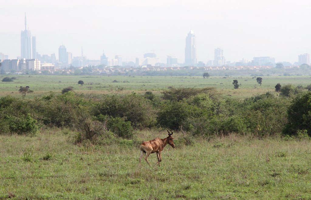 Nairobi park