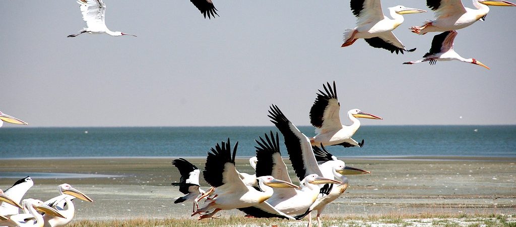 Nata bird sanctuary