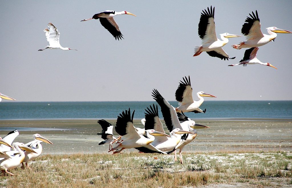 Nata bird sanctuary