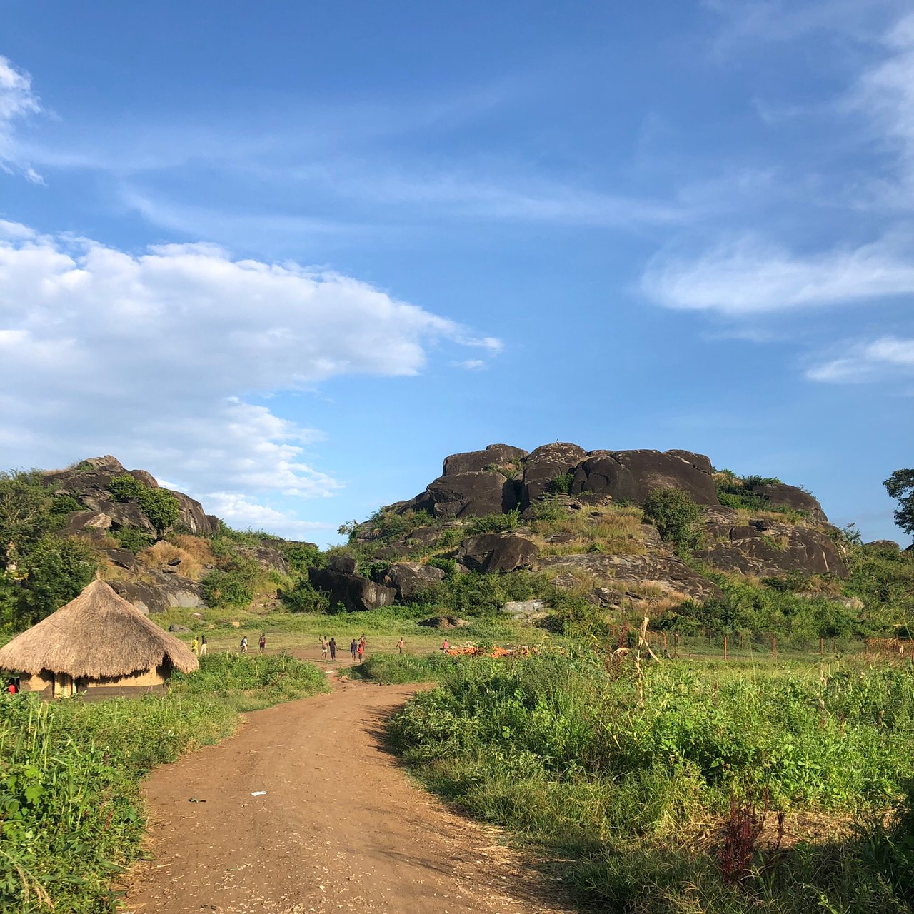 Nebbi