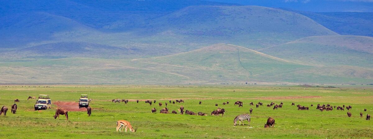 Ngorongoro Conservation Area