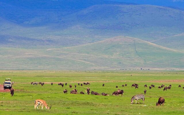 Ngorongoro Conservation Area