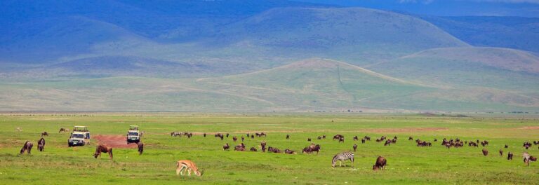 Ngorongoro Conservation Area