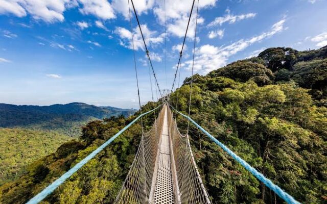 Nyungwe Forest National Park