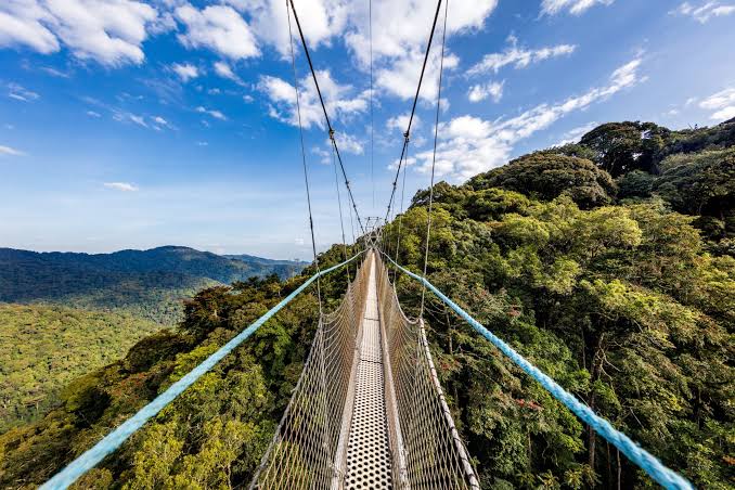 Nyungwe Forest National Park