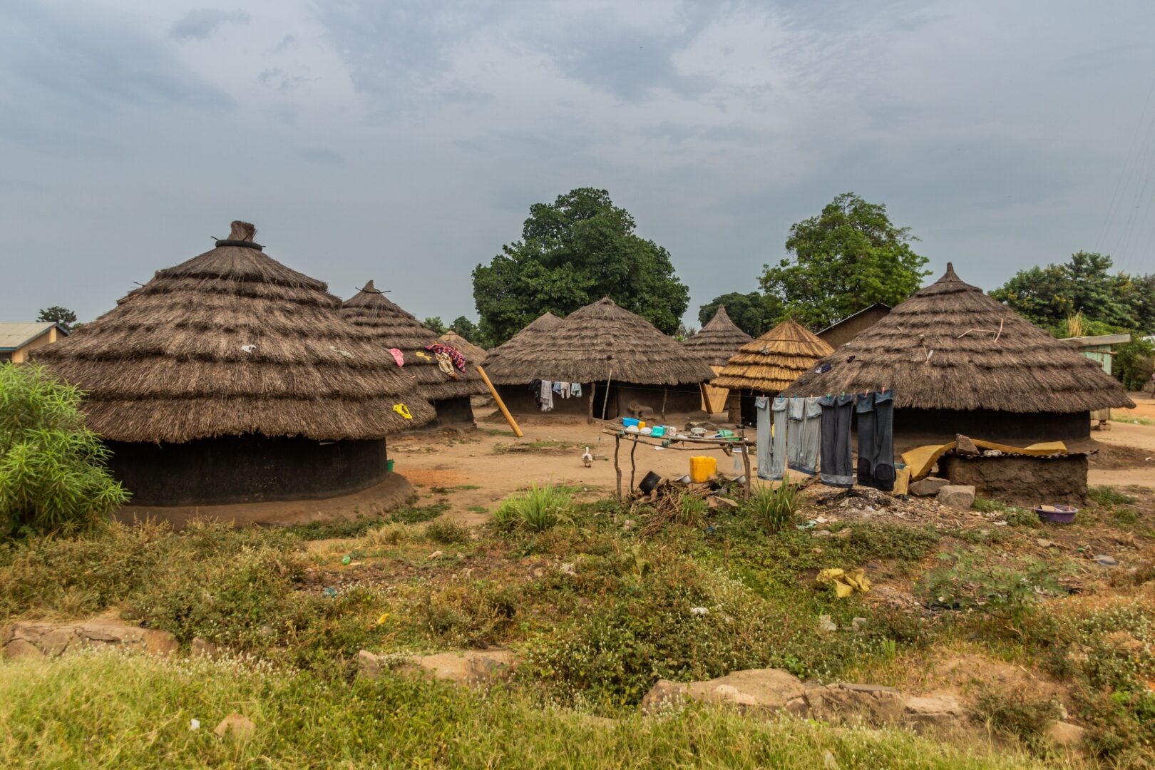 Pakwach