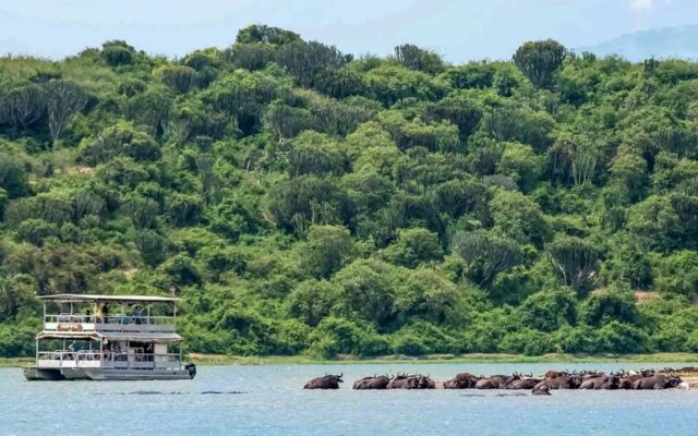 Classic Uganda safari wildlife and savannah landscapes