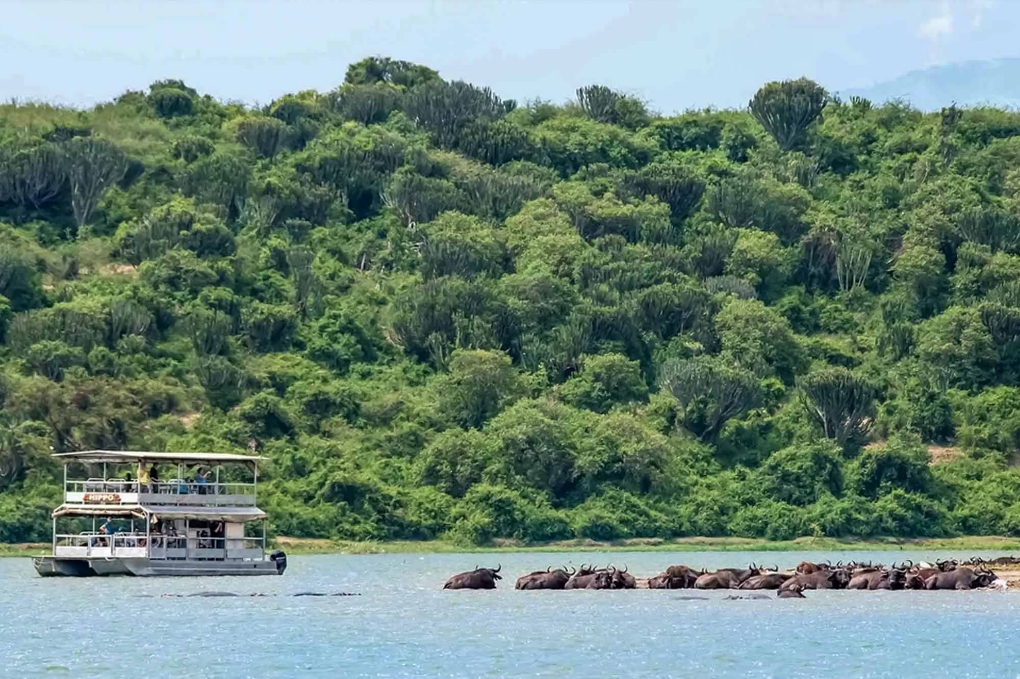 Queen Elizabeth National Park