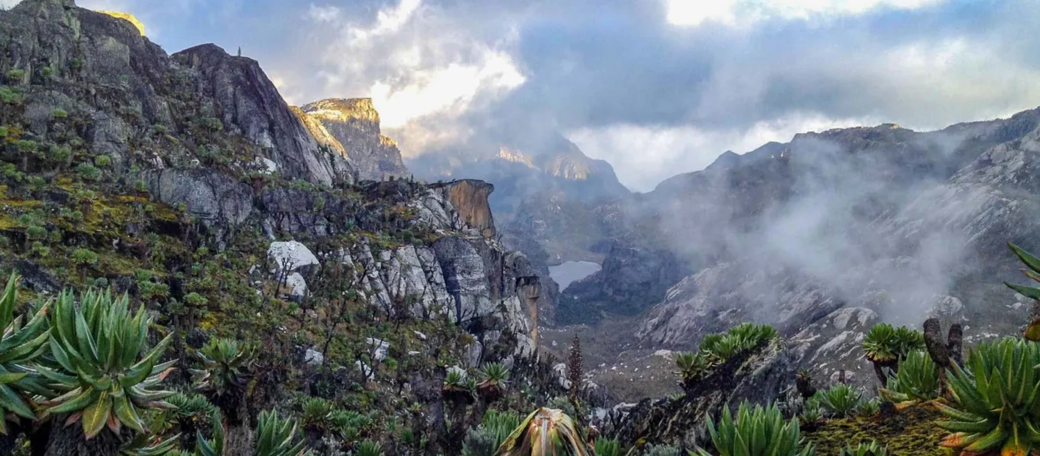 Rwensori hike
