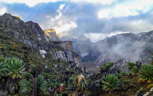 10 Days Rwenzori mountain hiking