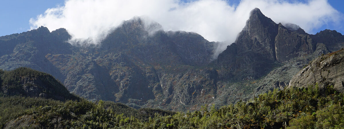 Rwenzori Mountains National Park