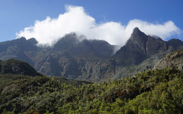 Rwenzori Mountains National Park