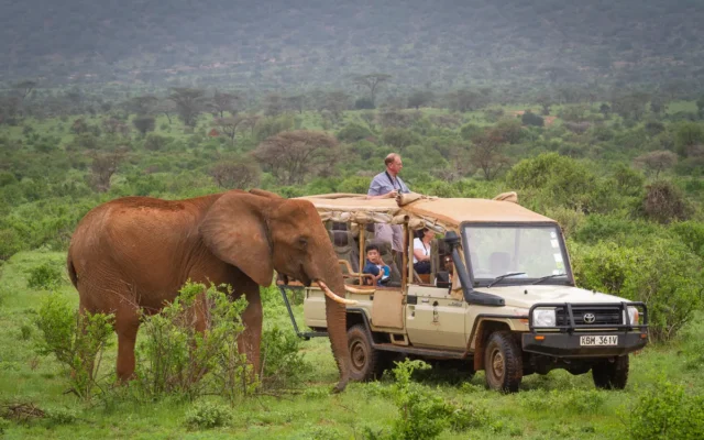 Samburu National Reserve