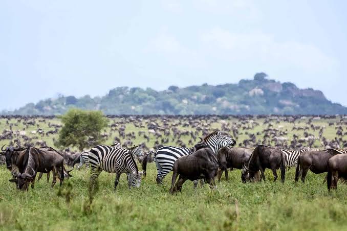 Serengeti National Park