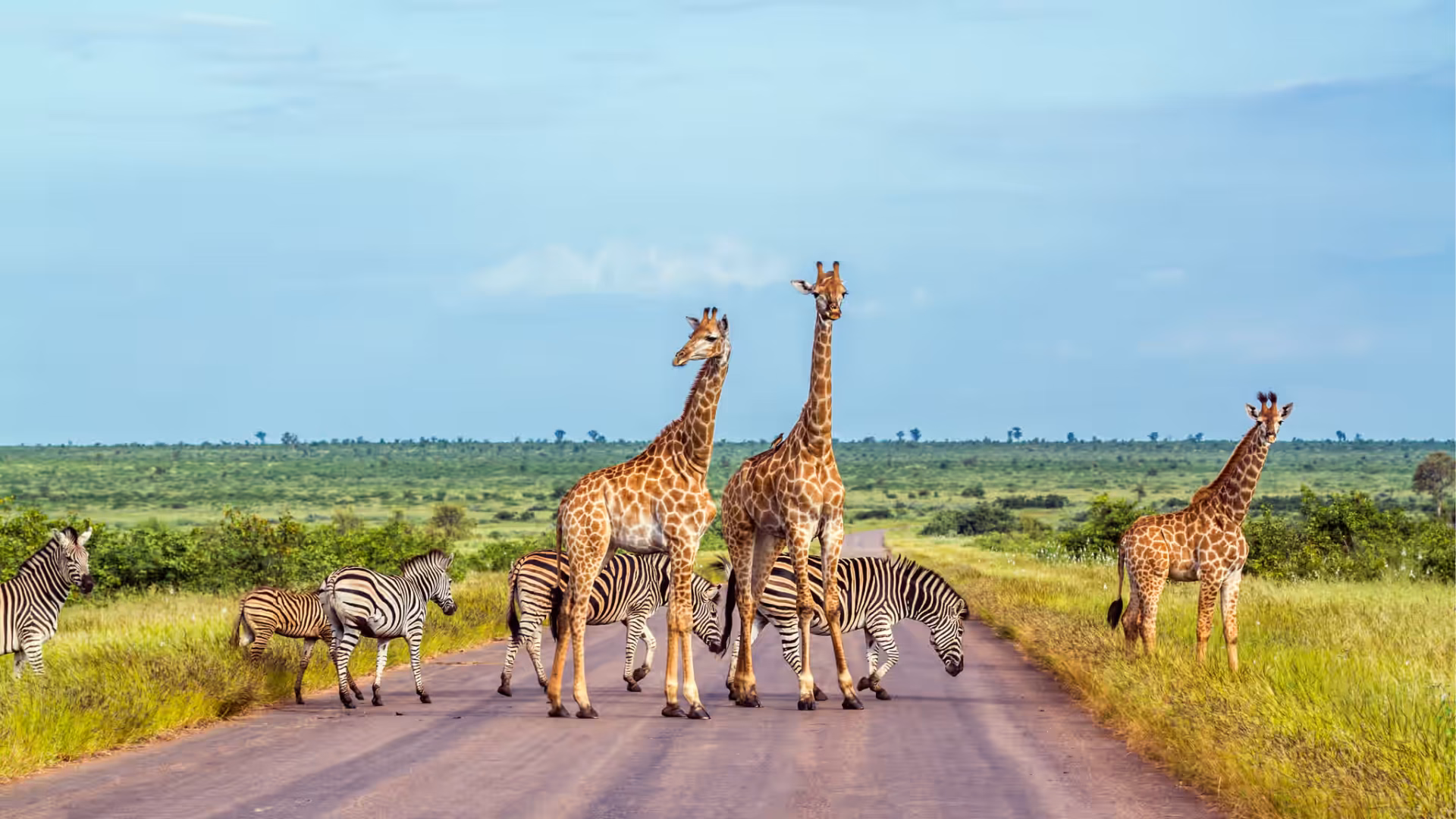 Skukuza to Johannesburg